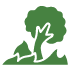 High Density Native Plantation